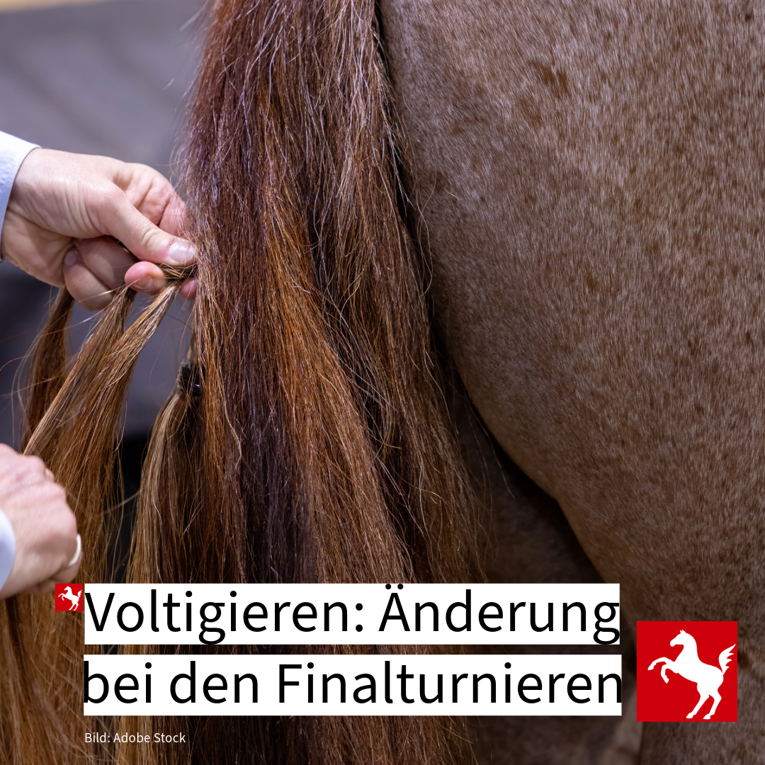 Änderungen bei den Finalturnieren Voltigieren