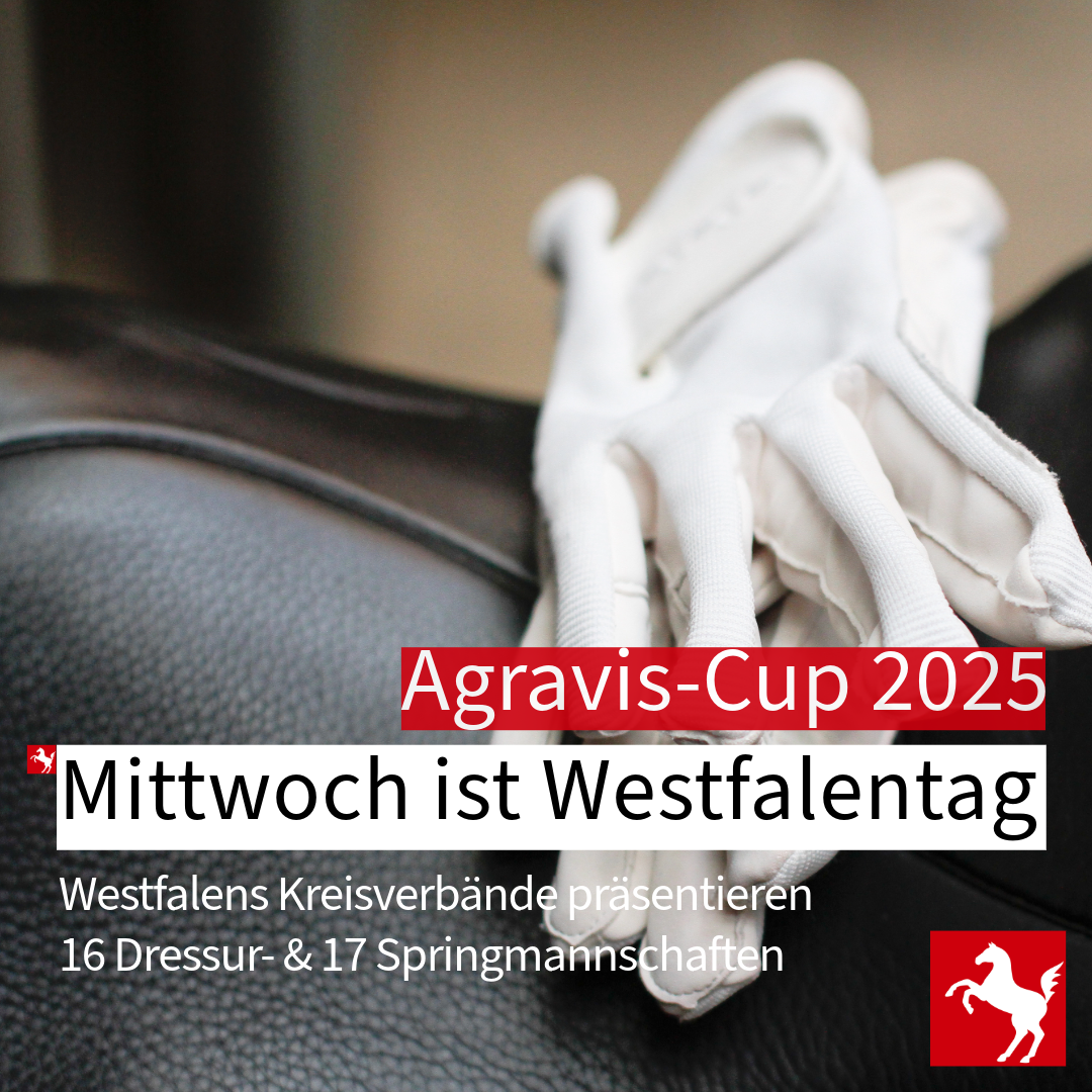 Westfalentag 2025