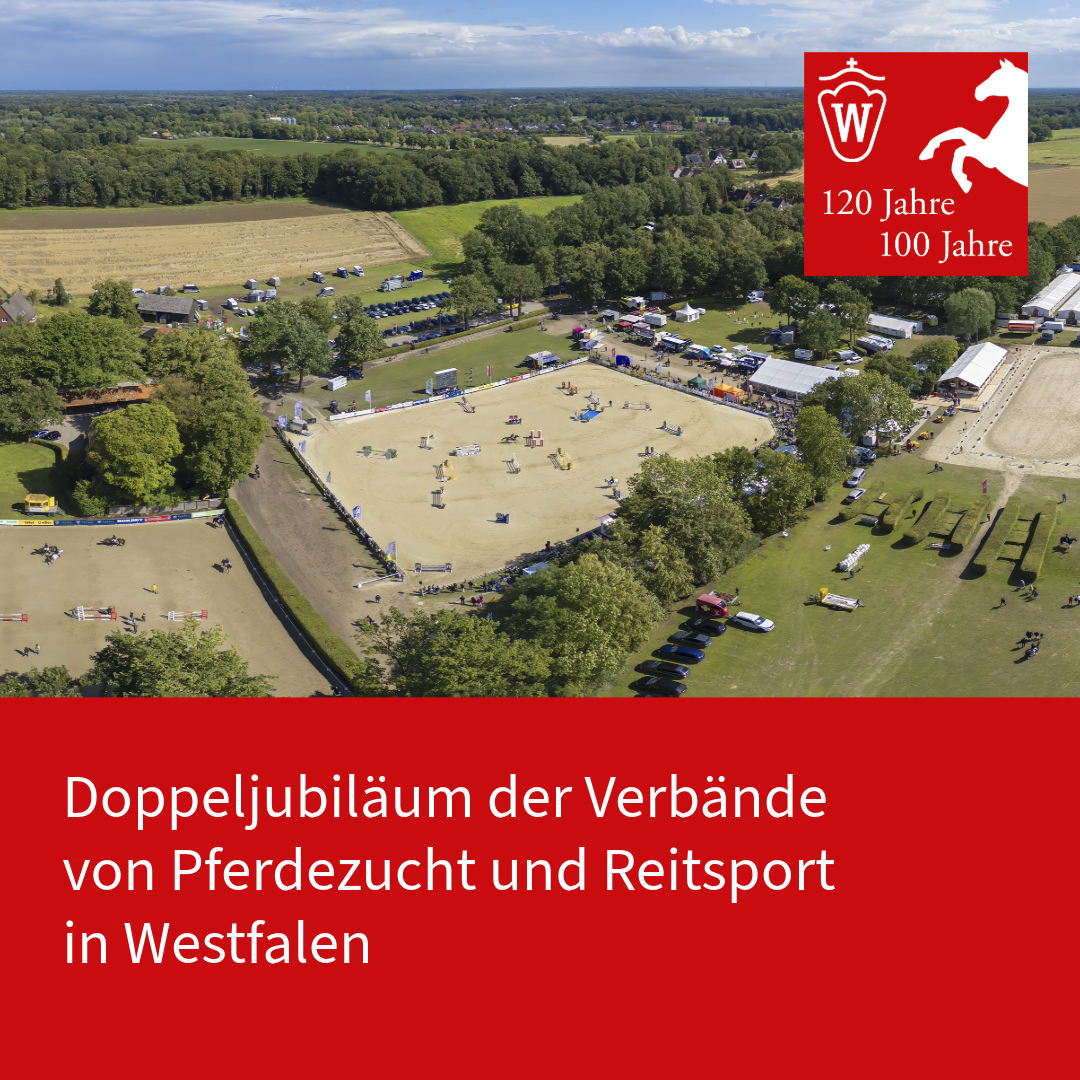 Jubiläums-Pferdefestival in Westfalen