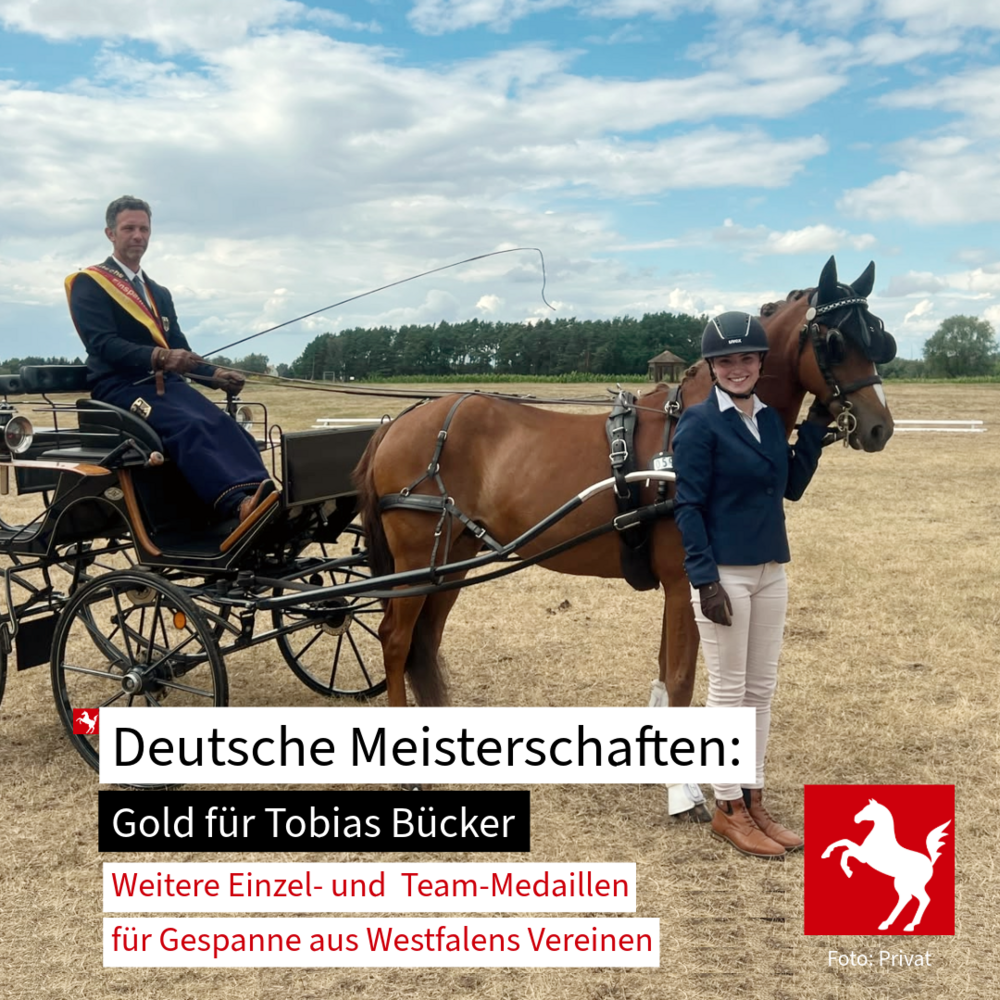DM Fahren in Schildau 2026: Medaillensegen für Westfalens Gespanne DM Fahren in Schildau 2026: Medaillensegen für Westfalens Gespanne