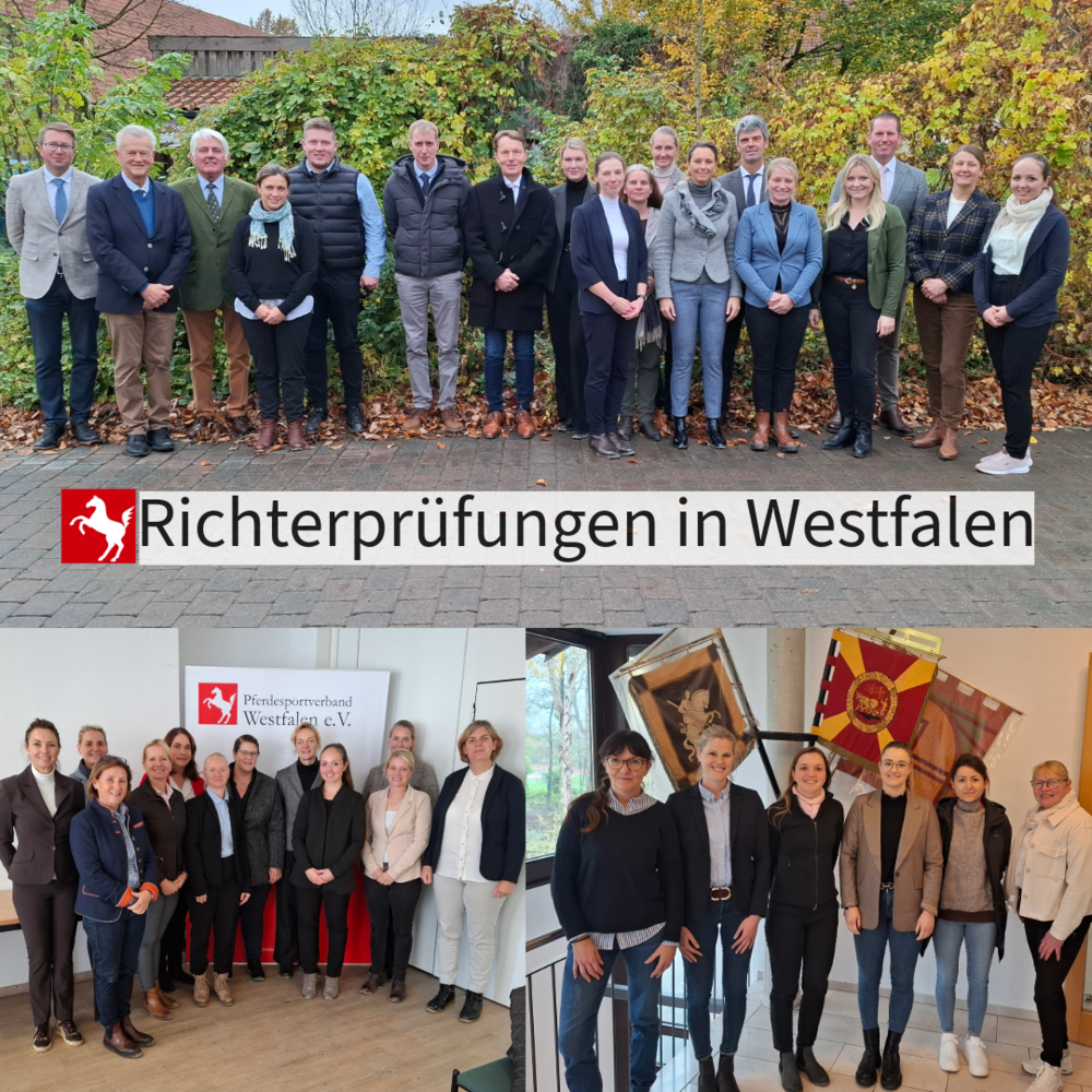 Erfolgreiche Richterprüfungen im Herbst Erfolgreiche Richterprüfungen im Herbst