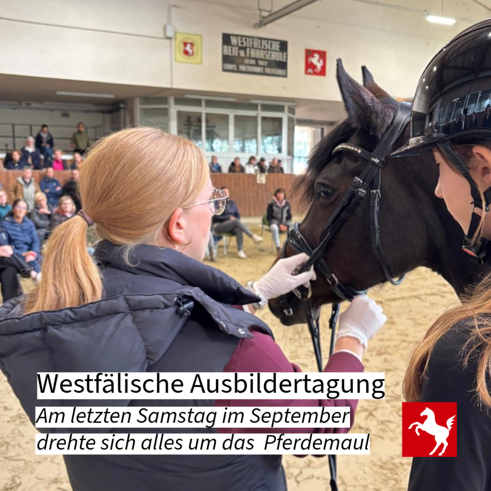 Westfälische Ausbildertagung 2025: Im Fokus stand das Pferdemaul Westfälische Ausbildertagung 2025: Im Fokus stand das Pferdemaul