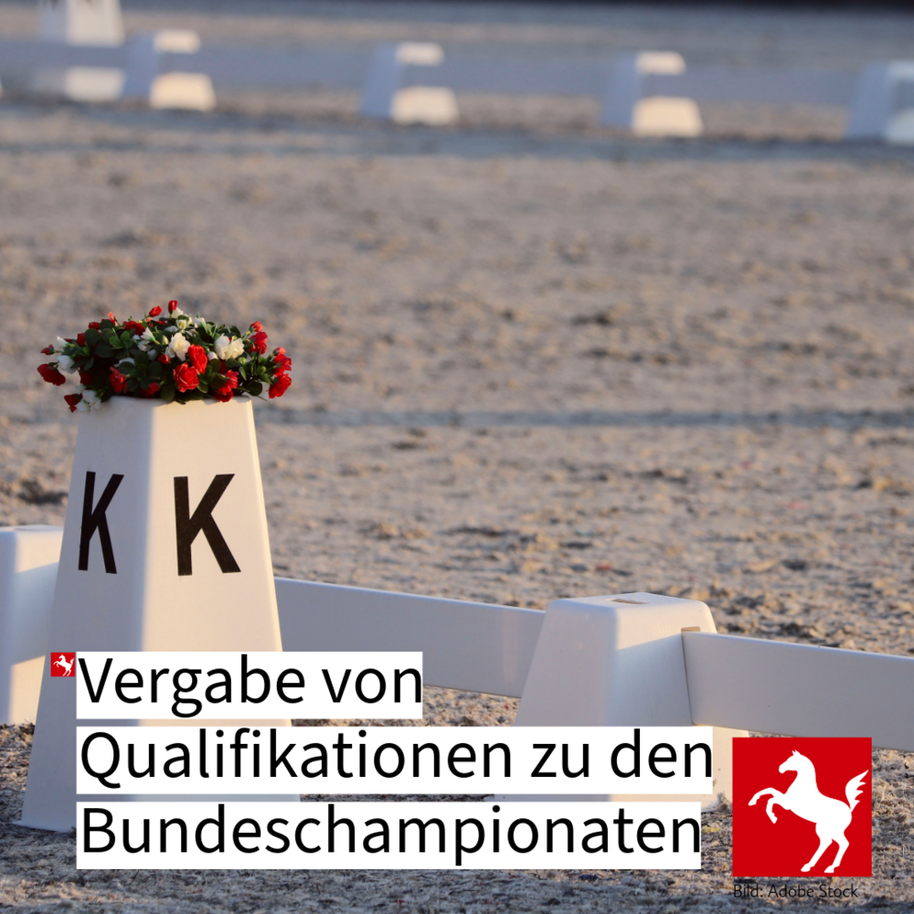 Qualifikationen zu den Bundeschampionaten