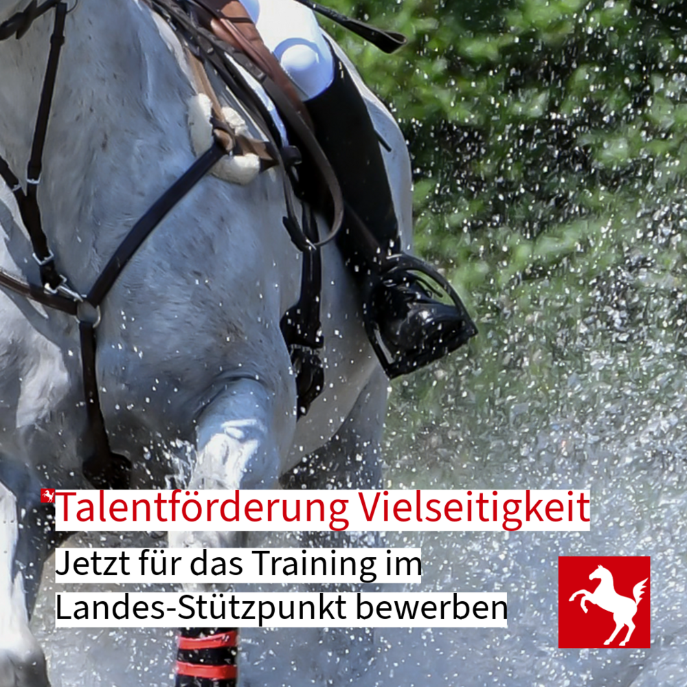 Training im Landesstützpunkt Vielseitigkeit: Talente können sich bis zum 8.12.2025 bewerben Training im Landesstützpunkt Vielseitigkeit: Talente können sich bis zum 8.12.2025 bewerben