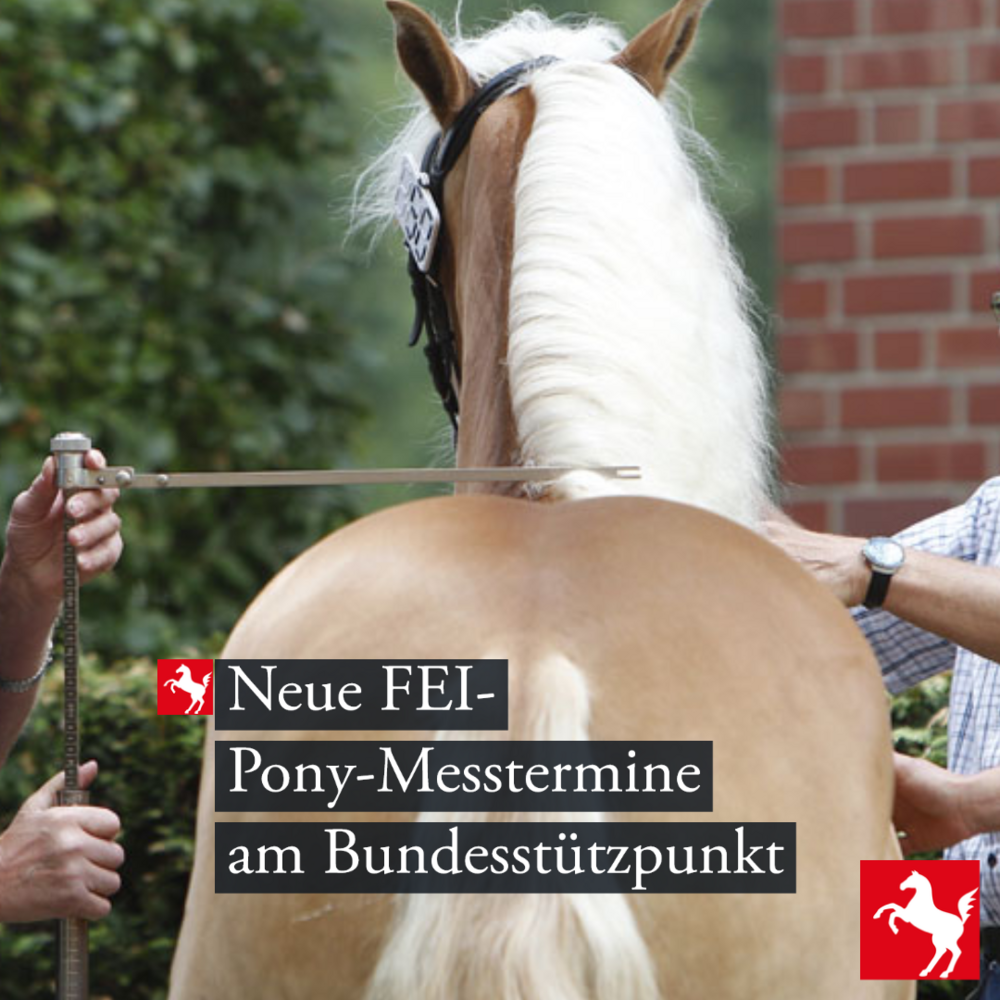 FEI-Ponymesstermine im Januar und April 2026 FEI-Ponymesstermine im Januar und April 2026