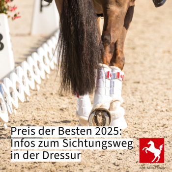 Preis der Besten 2025 - Sichtungsweg Dressur