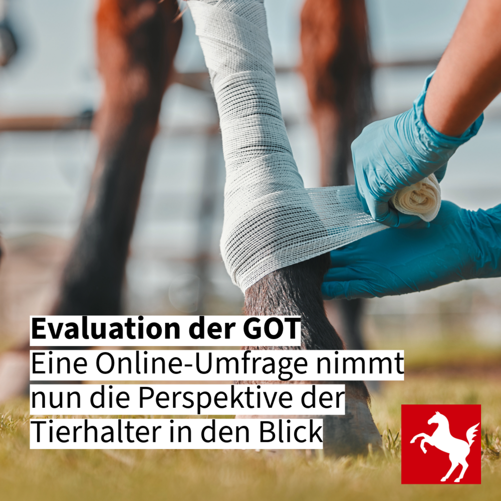 Pferdehalter-Umfrage im Rahmen der GOT-Evaluation Pferdehalter-Umfrage im Rahmen der GOT-Evaluation