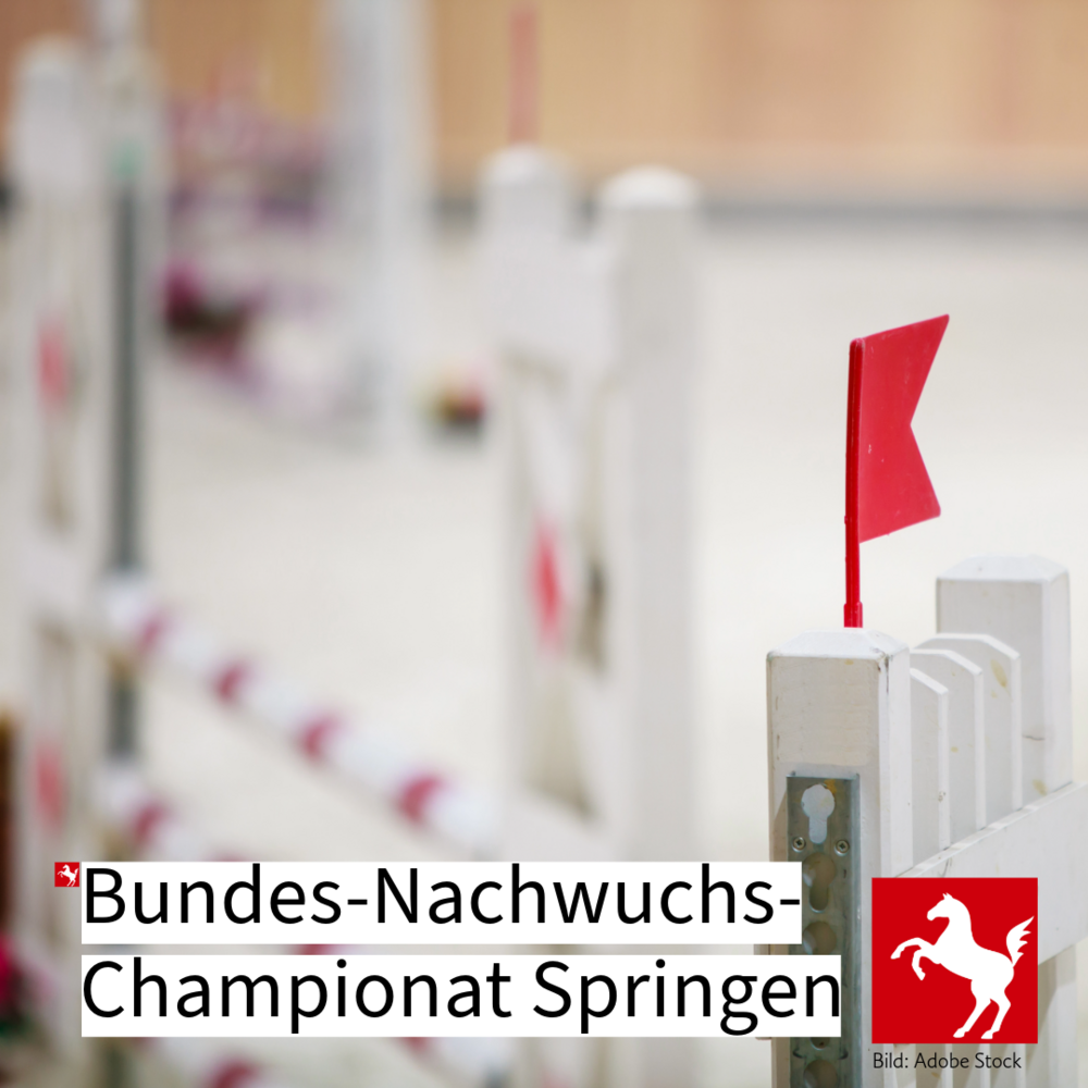 Ein Symbolbild weist auf das Bundesnachwuchschampionat Springen 2025 hin