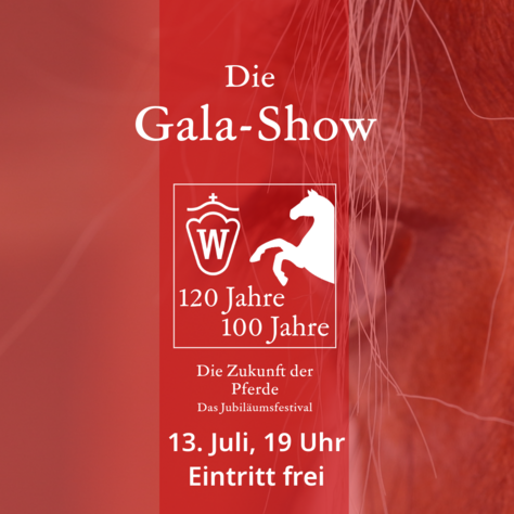 Galashow 1