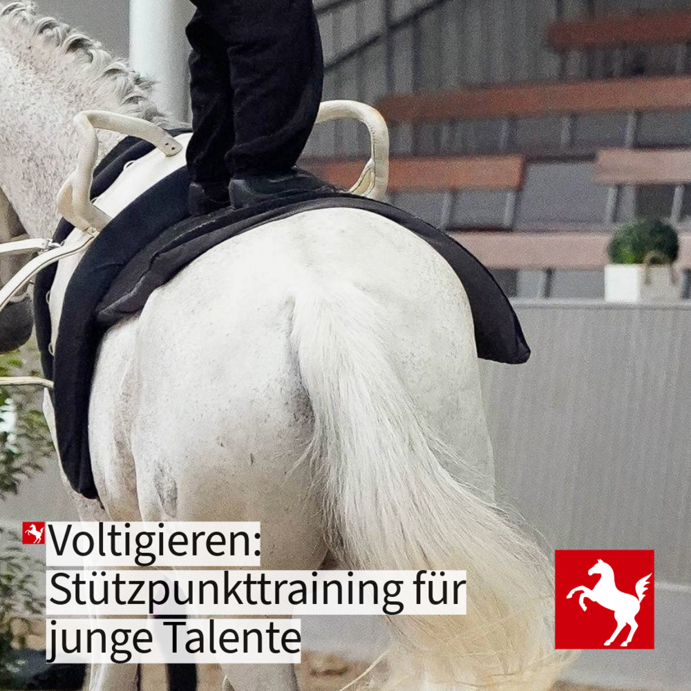 Jetzt für das Stützpunkttraining Voltigieren 2026/27 bewerben Jetzt für das Stützpunkttraining Voltigieren 2026/27 bewerben