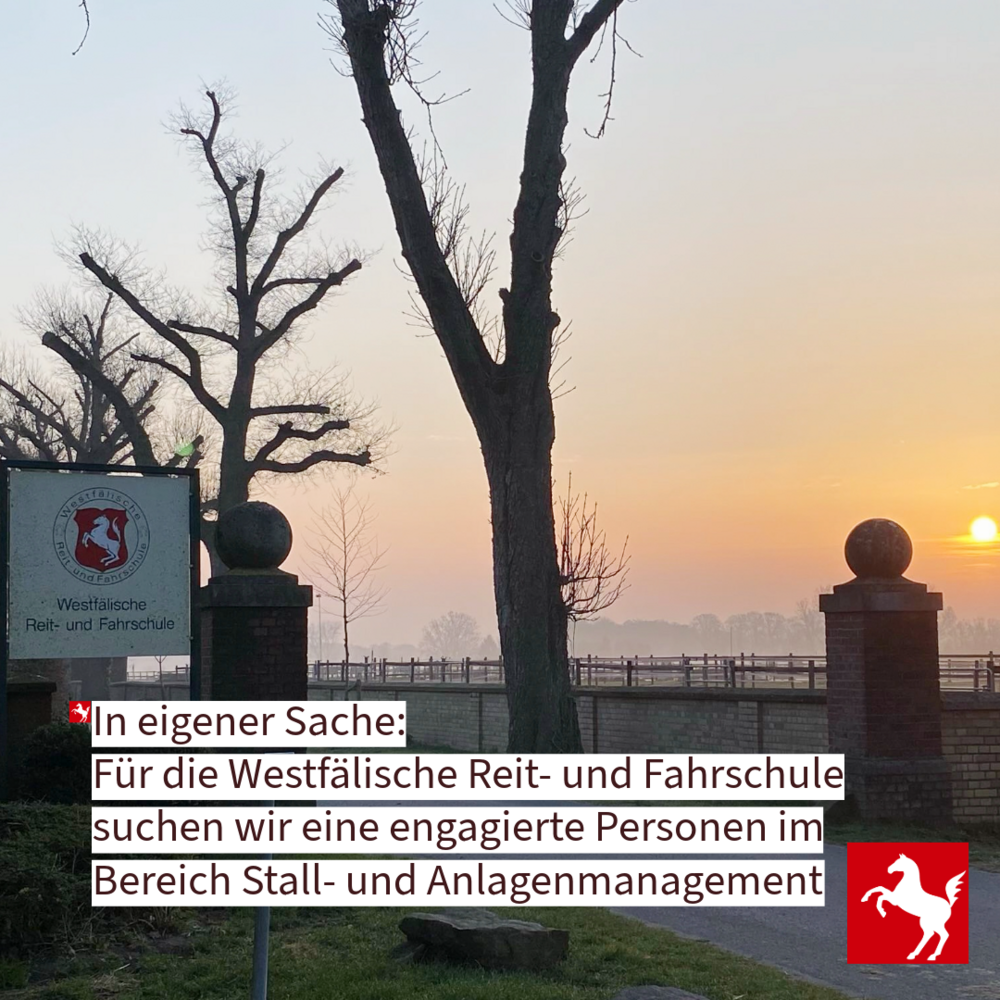 An der Westfälischen Reit- und Fahrschule ist eine Stelle im Bereich Anlagen- und Stallmanagement zu vergeben An der Westfälischen Reit- und Fahrschule ist eine Stelle im Bereich Anlagen- und Stallmanagement zu vergeben