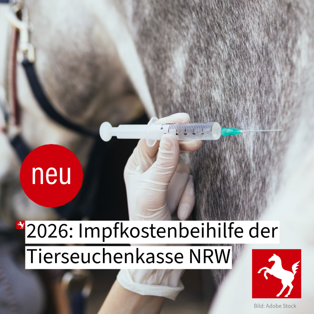 Die Tierseuchenkasse NRW legt 2026 eine Impfkostenbeihilfe für Pferdehalter auf Die Tierseuchenkasse NRW legt 2026 eine Impfkostenbeihilfe für Pferdehalter auf