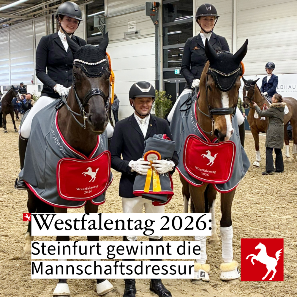 Westfalentag 2026: Steinfurt gewinnt die Dressur Westfalentag 2026: Steinfurt gewinnt die Dressur