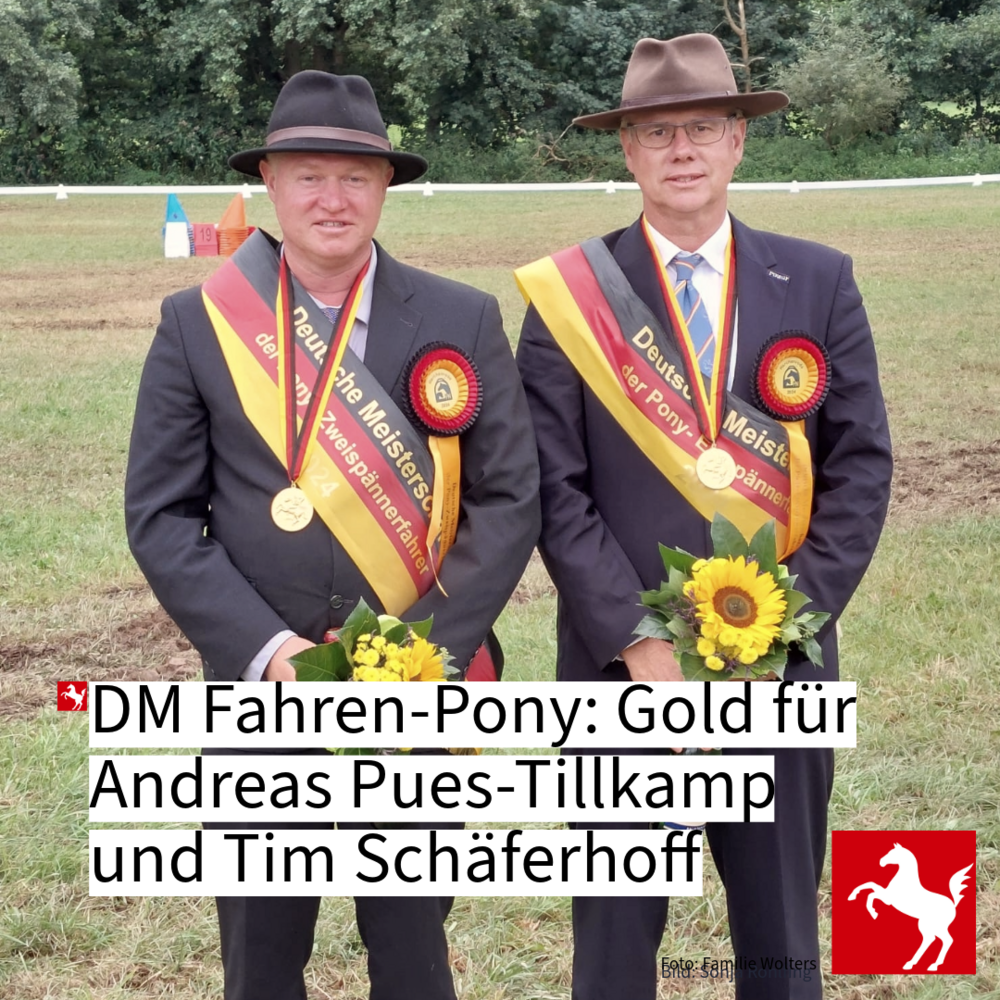 DM-Gold für Pues-Tillkamp und Schäferhoff