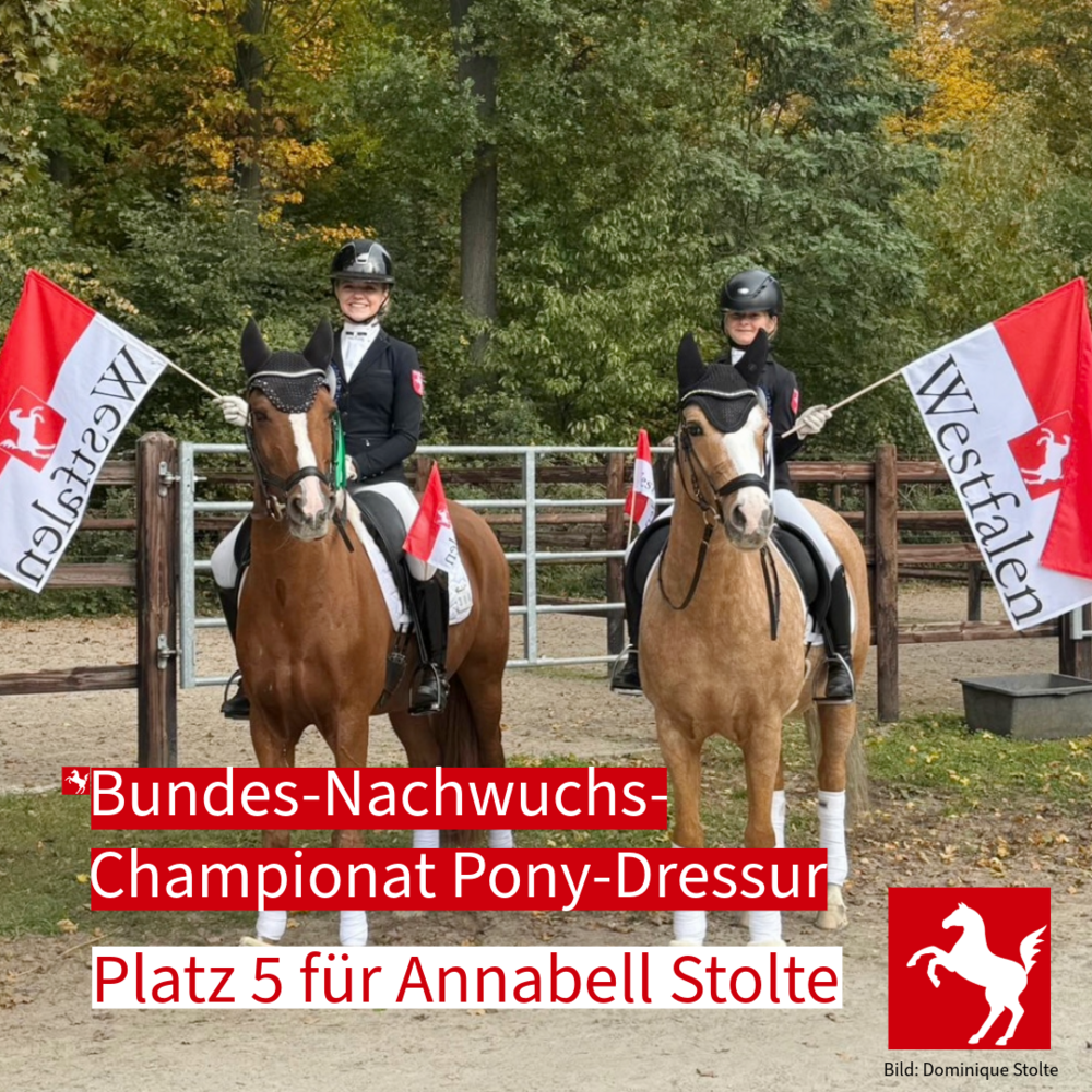 Bundes-Nachwuchschampionat Pony-Dressur 2025 Bundes-Nachwuchschampionat Pony-Dressur 2025