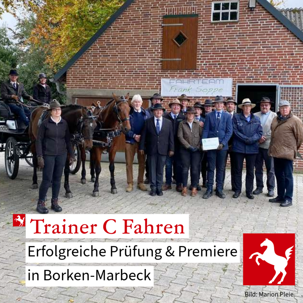 Fahrsport: Erfolgreiche Trainerprüfung in Westfalen Fahrsport: Erfolgreiche Trainerprüfung in Westfalen