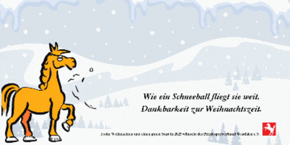 Frohe Weihnachten und einen guten Rutsch ins neue Jahr 2025