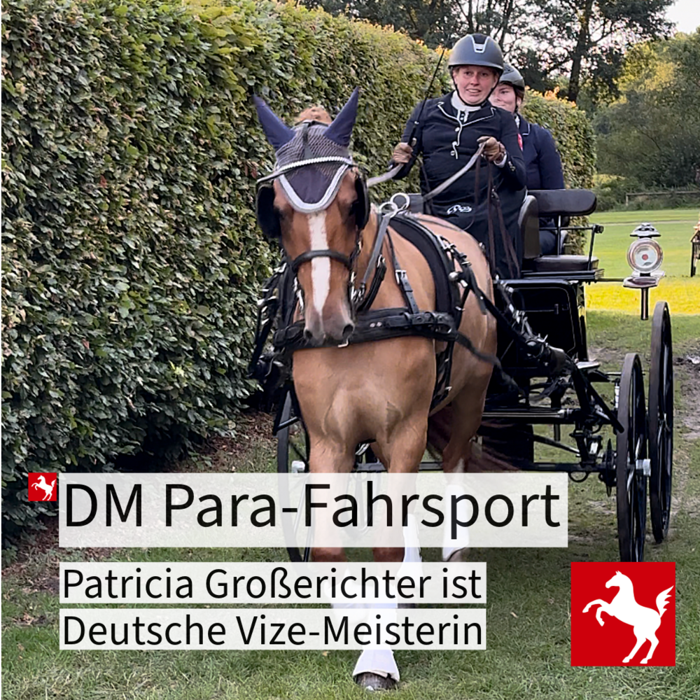 Patricia Großerichter ist Deutsche Vize-Meisterin im Para-Fahrsport