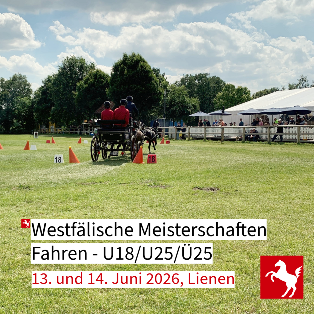 Westfälische Fahrmeisterschaften 2026 in Lienen Westfälische Fahrmeisterschaften 2026 in Lienen