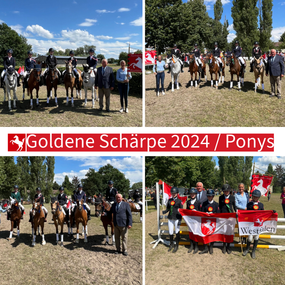 Goldene Schärpe Ponys 2024 