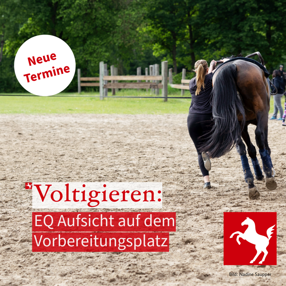 Ergänzungsqualifikation "Aufsicht auf dem Vorbereitungsplatz Voltigieren" Ergänzungsqualifikation "Aufsicht auf dem Vorbereitungsplatz Voltigieren"